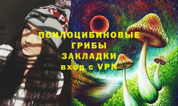 стаф Богданович